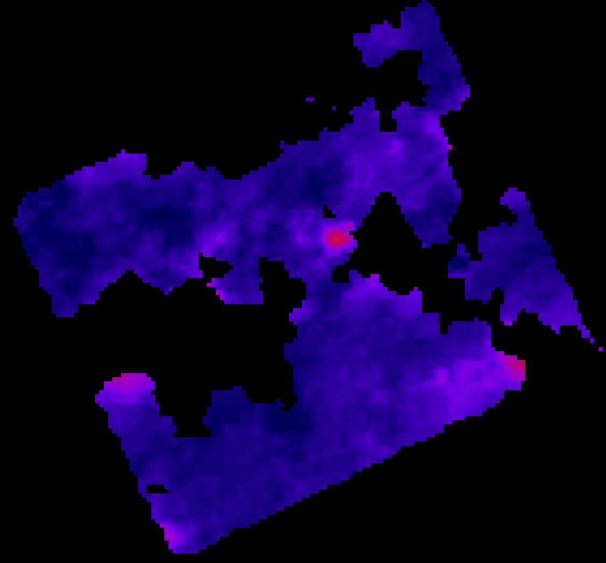 Thermal orthomosaic of the trial, cooler canopy appears blue, warm bare soil appears red