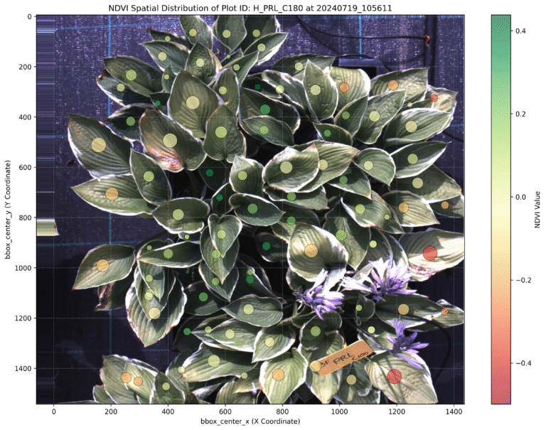 Blueberry leaves each outlined with a distinct colour mask by the instance segmentation model