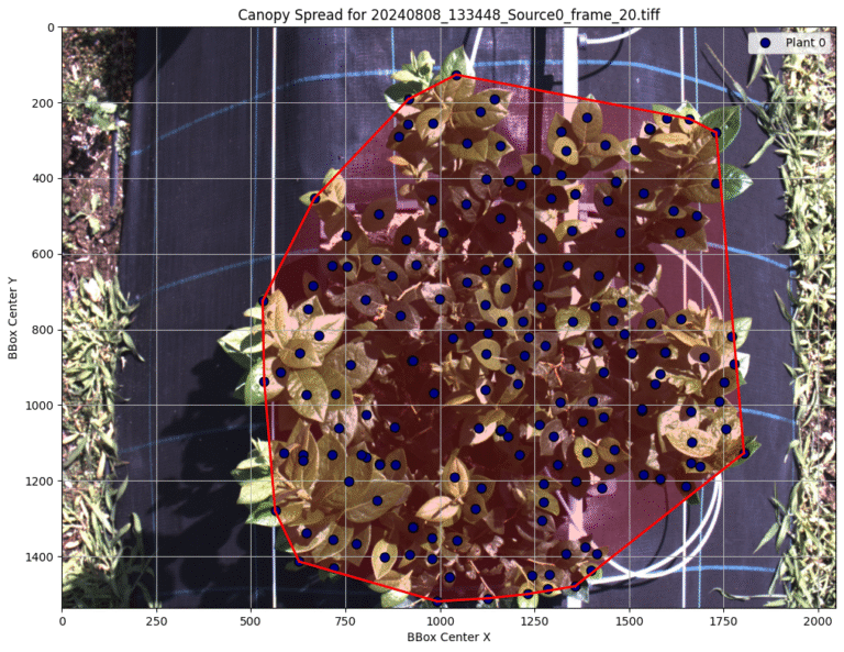 False-colour NDVI map overlaid on segmented leaves, showing variation in photosynthetic activity